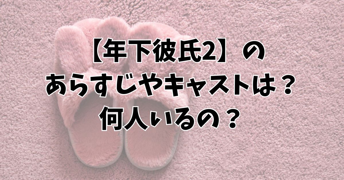 【年下彼氏2】のあらすじやキャストは？何人いるの？